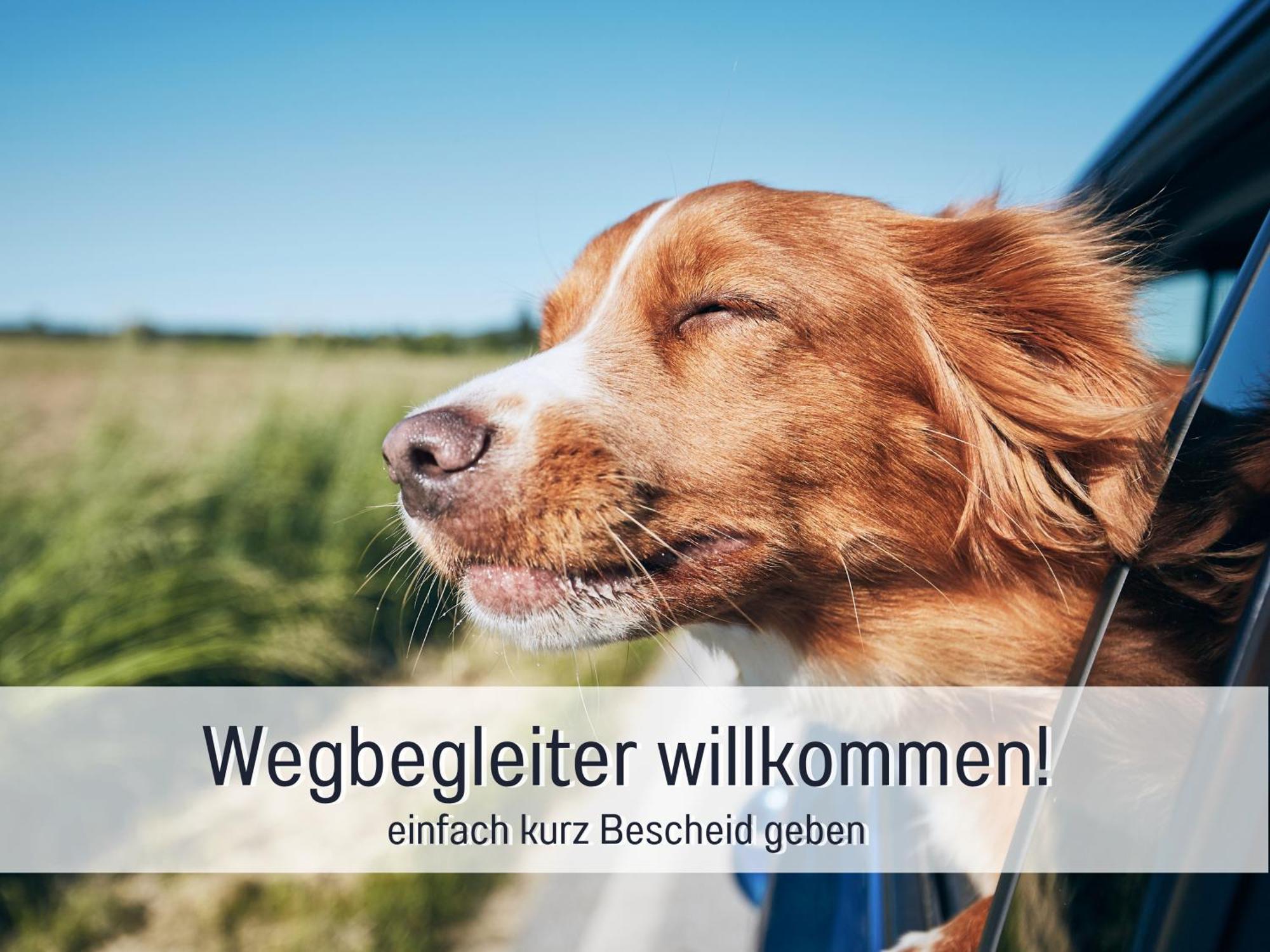 Lichtdurchflutete Moderne Stadtwohnung, Kueche, Waschtrockner, Smarttv Brandenburg  Dış mekan fotoğraf